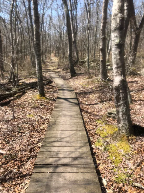 Vin Gormley Trailhead Parking