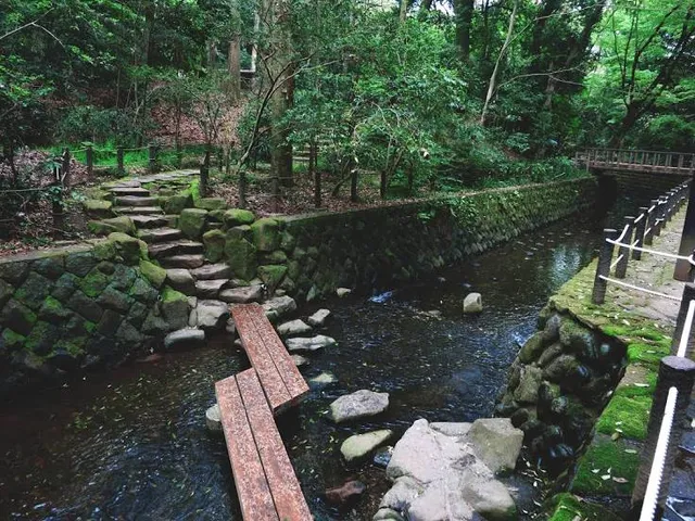 Todoroki Ravine Park