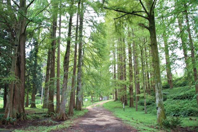 Botanical Garden, Osaka Metropolitan University