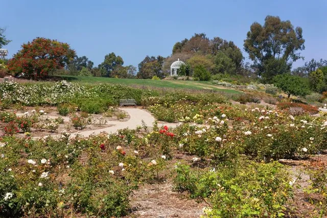 South Coast Botanic Garden