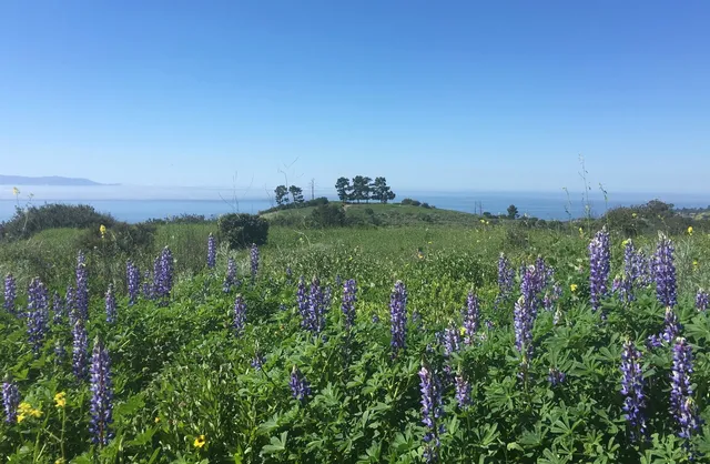 Portuguese Bend Reserve