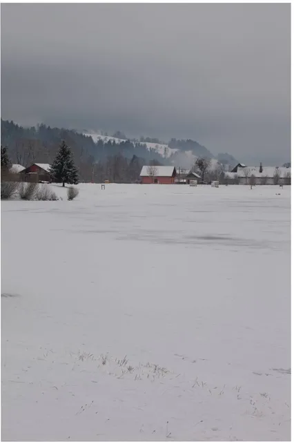 Coca Cola Tubing Hill At Winter Park