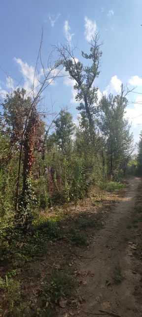 Riserva naturale Bosco di Barco