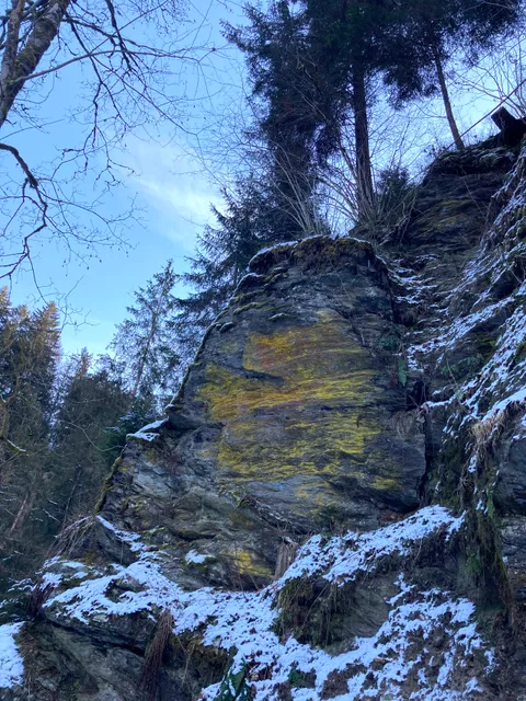 photo-1