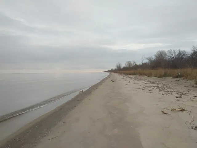 Rondeau Provincial Park
