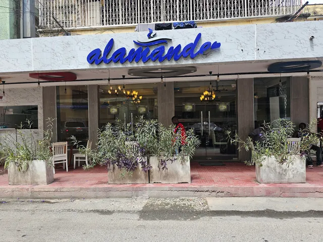 Salamander Café