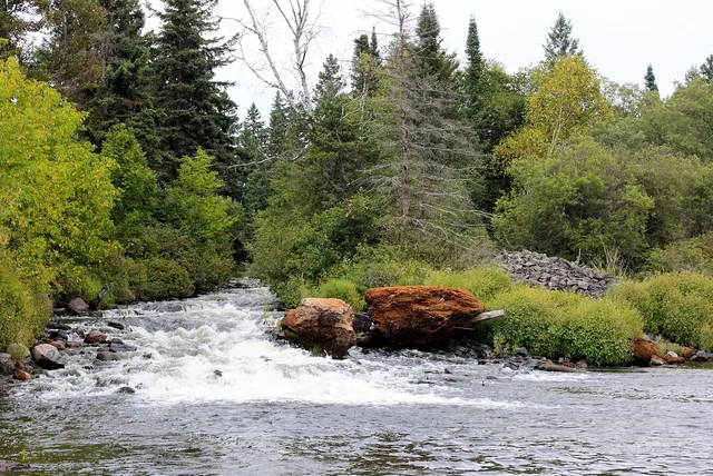 Mink bay wetland trail