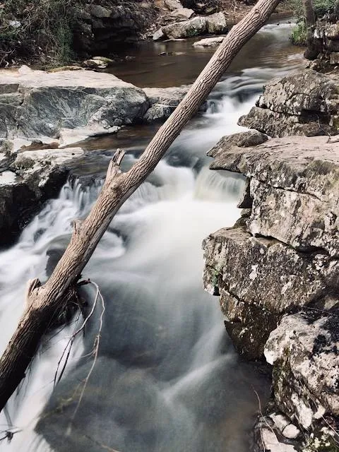 Rock Creek State Park
