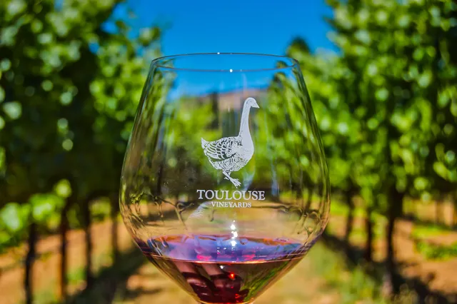 Toulouse Vineyards & Winery