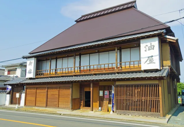 キュウマツザキハタゴアブラヤ