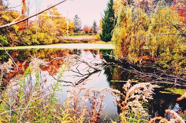 Cleveland Metroparks Ledge Lake