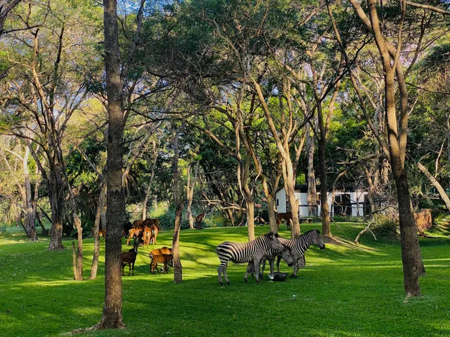 Sakae Paradise Resort - **RESERVATIONS ONLY**