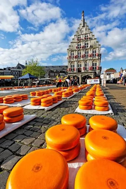 Gouda