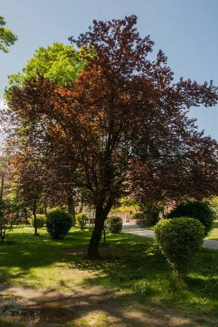 Pafsilipo park - Karditsa