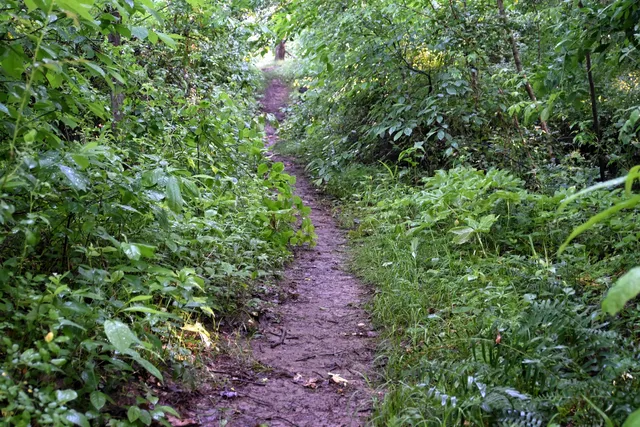 Sassafras NRMA Visitor Center