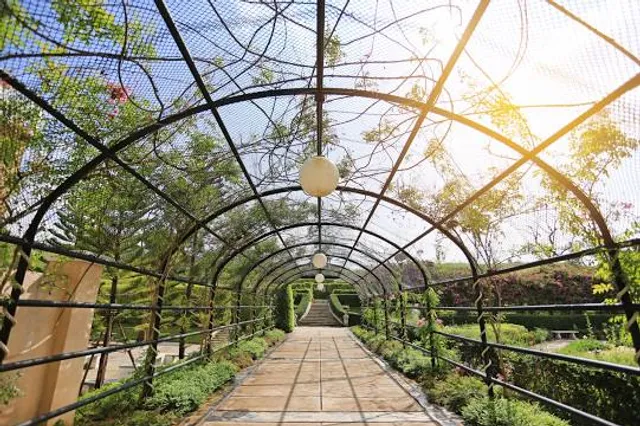 Kalyani Picnic Garden