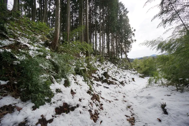 Kikkawa Clan Surugamaru Castle Remains