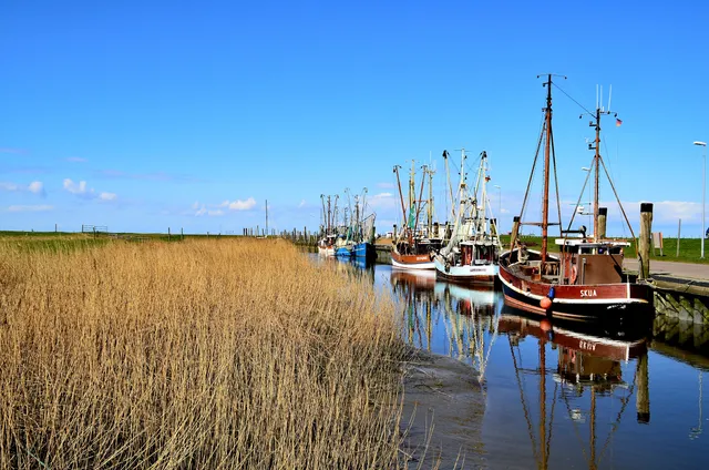 Spieka-Neufeld fishing harbor