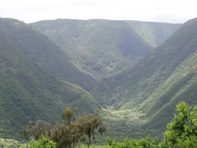 Pololū Valley