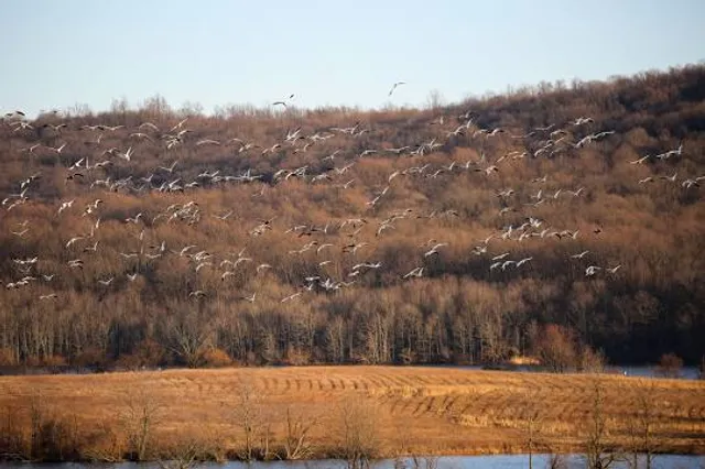 Middle Creek Wildlife Management Area