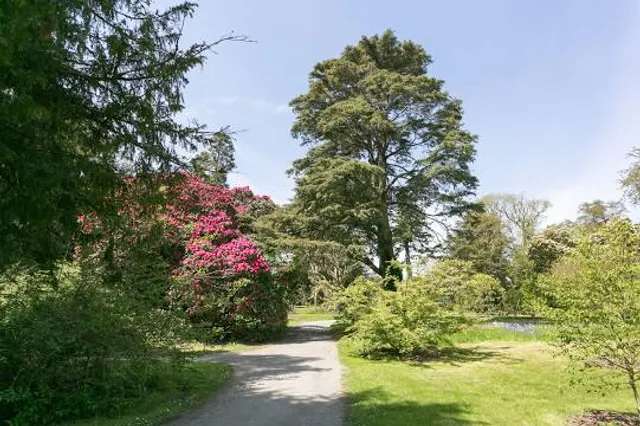 The Municipal District of Arklow