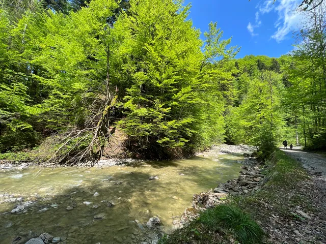 Wildbachlehrpfad am Lainbach