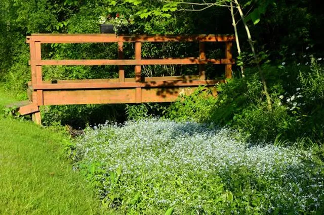 Mass Audubon's Barnstable Great Marsh Wildlife Sanctuary