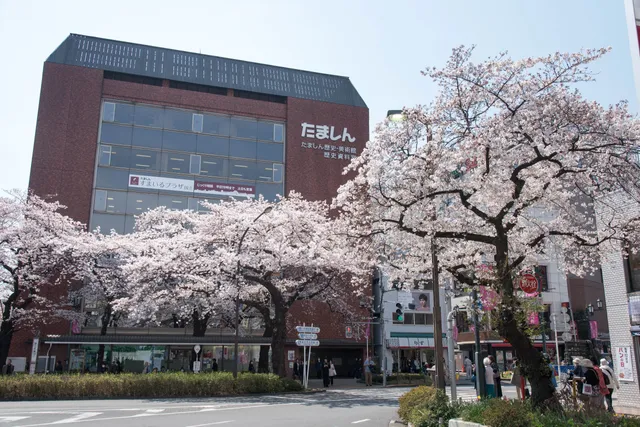 Tamashin Museum of History and Art