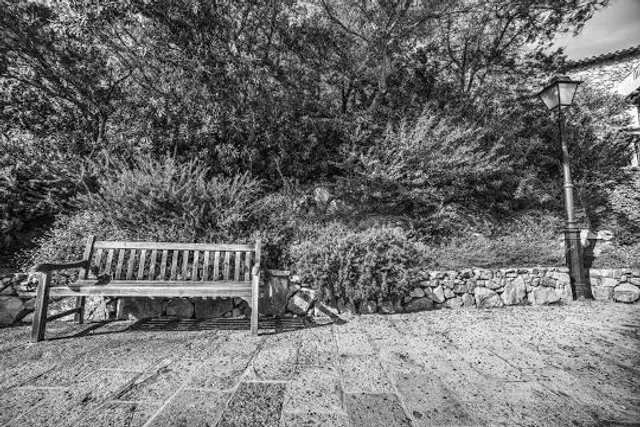 South of Central Ridge Forest