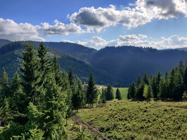 Crescătoria de Cerbi de la Dârmoxa