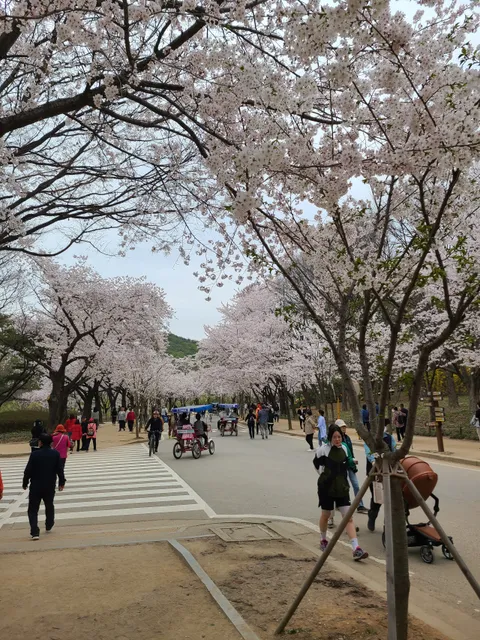 Incheon Grand Park Children's Zoo