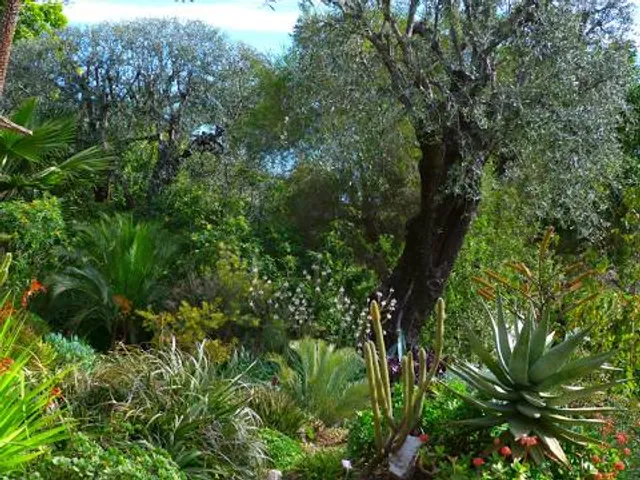 Val Rahmeh-Menton Botanical Garden
