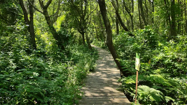 Kampener Vogelkoje auf Sylt