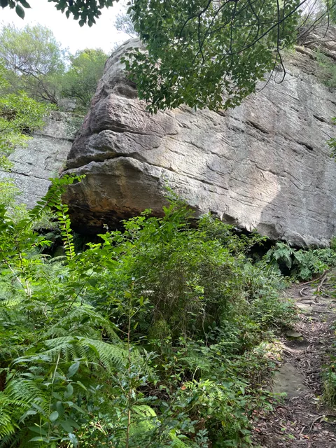 Wolli Creek Walking Track