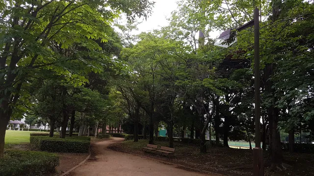 Tomisato Central Park