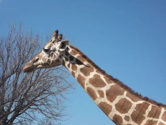Oklahoma City Zoo