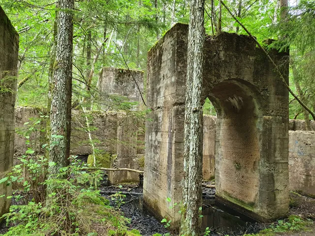 Oljekoken Gössäter