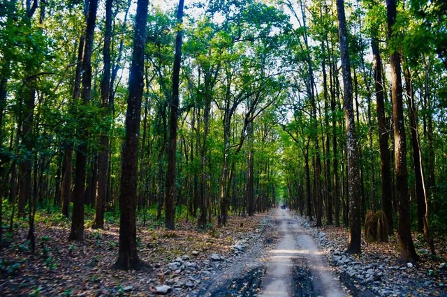 Sitabani Wildlife Reserve