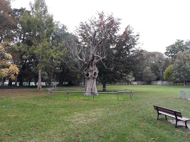 Parc de la Fossette