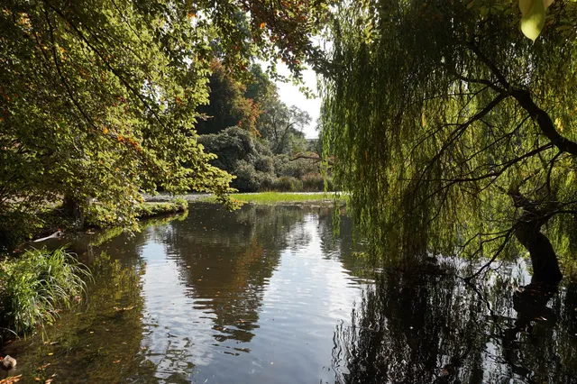 Alter Botanischer Garten