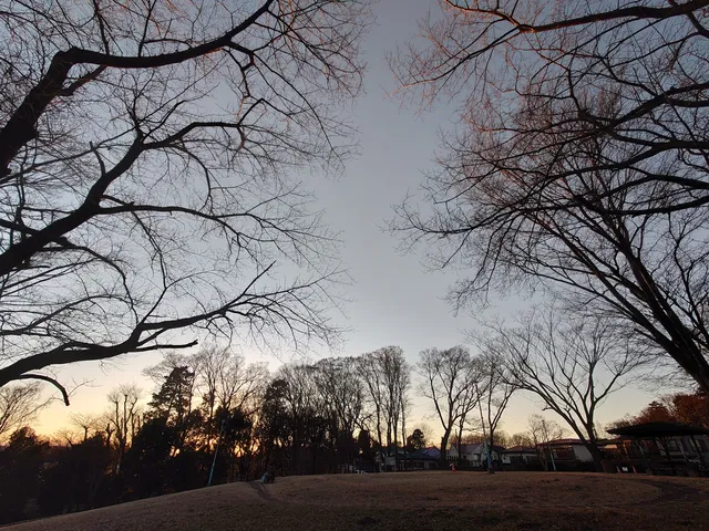 Koyamadai Archeological Park