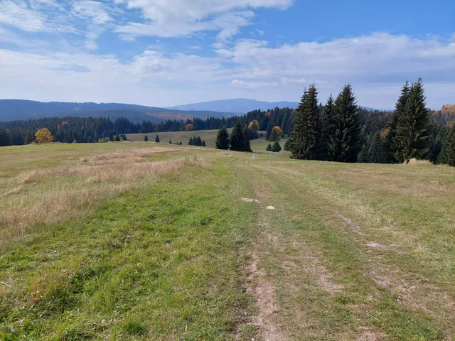 Horské sedlo - Tlstý javor