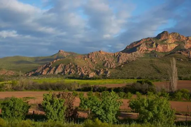 Red Mountain Open Farm