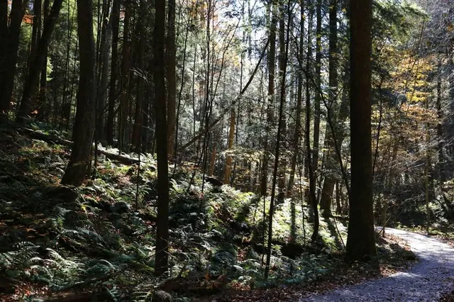 Five Ponds Wilderness