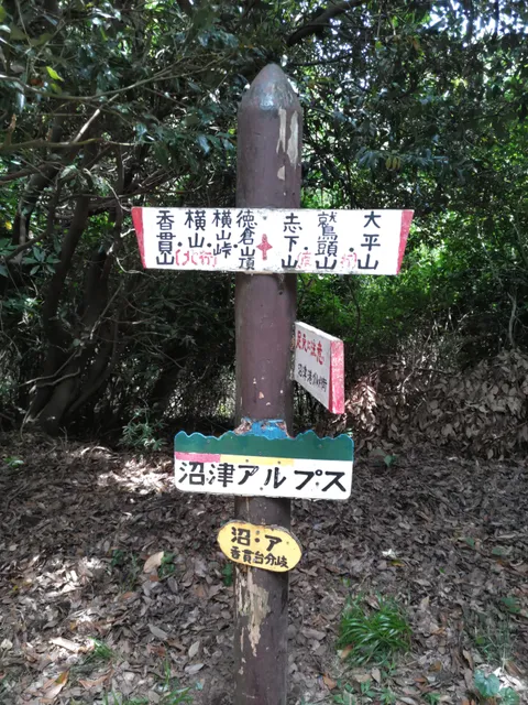 photo-1