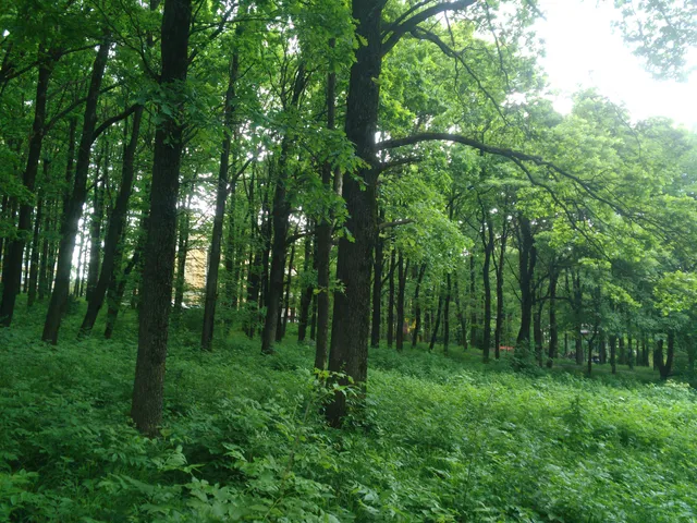 Aleksandrovskiy Park