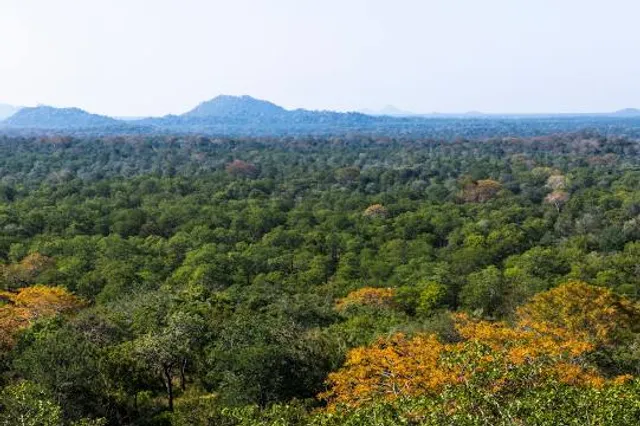 Savé Valley Conservancy