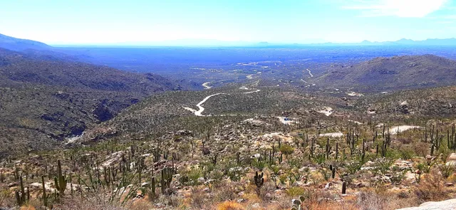 Redington Pass Dispersed