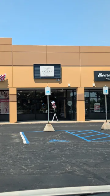 The Willow Where Our Roots Began