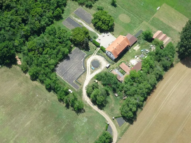 Noll tanya Guest House